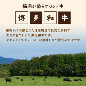 博多和牛 一口ステーキ 300g ｽﾃｰｷ NKK