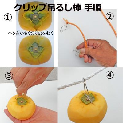 ふるさと納税 紀美野町 吊るし柿用 生渋柿 ひもセット【T字軸枝付または吊るしクリップ付】 約20〜30果、4.5〜5kg |  | 01