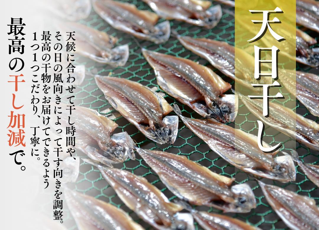 ひもの詰め合わせセット ・【 干物 ひもの セット 詰め合わせ 静岡県産 伊豆 魚介類 アジ 金目鯛  きびなご みりん かます 冷凍 人気 おすすめ 】　<J-1>