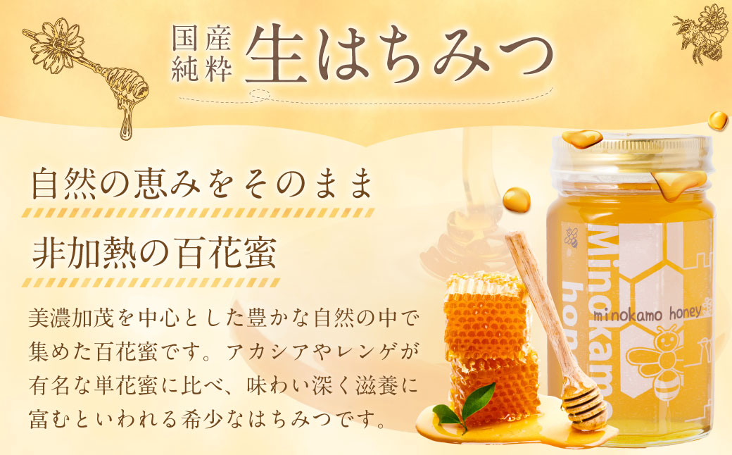 【6ヶ月定期便】MINOKAMO HONEY はちみつ 1本（500g）×6回 ｜ 藤井養蜂 蜂蜜 非加熱 百花蜜 国産 甘味料 定期便 美濃加茂市