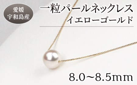 ＼10営業日以内発送／ 本真珠 パール 花珠 真珠 一粒 パールネックレス 8.0-8.5mm イエローゴールド 宇和海真珠 人気 アクセサリー ジュエリー アコヤ真珠 akoya ファッション フォーマル 慶事 結婚式 卒業式 入学式 お祝い ギフト 贈り物 特産品 国産 愛媛 宇和島 真珠 パール 真珠 パール 真珠 パール 真珠 パール 真珠 パール 真珠 パール 真珠 パール 真珠 パール 真珠 パール 真珠 パール 真珠 パール 真珠 パール 真珠 パール 真珠 パール 真珠 パール 真珠 パール