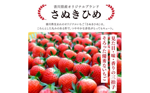 先行予約 いちご さぬきひめ 約500g (250g×2)  果物 フルーツ 苺 デザート スイーツ ケーキ ジュース ゼリー アイス シャーベット ジェラート フルーツ大福 ドライフルーツ クレープ