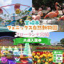 【ふるさと納税】【選べる】宮崎市フェニックス自然動物園＆フローランテ宮崎共通入園券 動物園 動物とふれあい フラミンゴ ショー ゾウ ヤギ 餌やり 体験 花 フラワー 植物 植物観賞 フラワーガーデン 施設利用券 施設券 利用券 チケット 券 宮崎県 宮崎市 送料無料