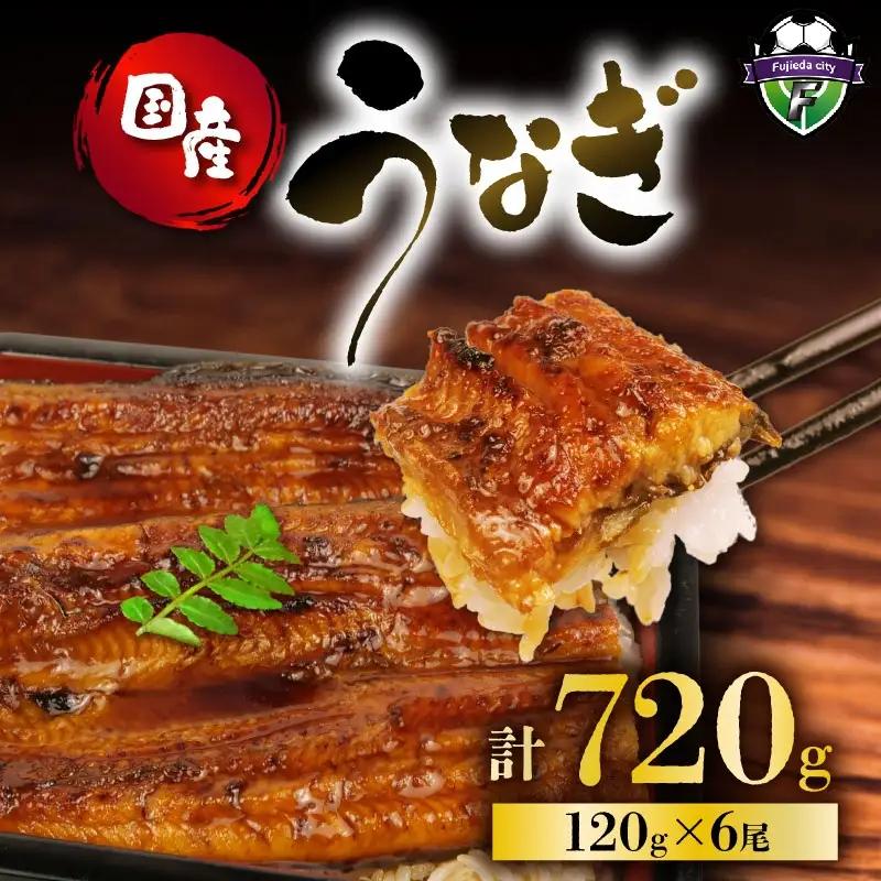 国産 うなぎ 蒲焼 120g 6尾 うなぎ 鰻