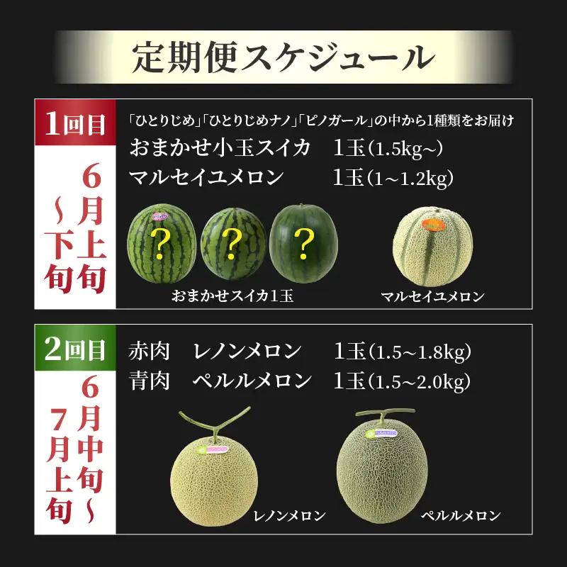 【先行予約】《定期便全2回》佐藤農園のフルーツ定期便 朝採り 計4玉（小玉スイカ・マルセイユメロン・レノンメロン・ペルルメロン）農家直送 秀品 お届け！※2027年5月下旬～7月末の間に順次発送 [a