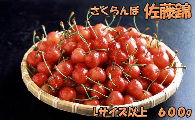 北海道 仁木町産 生産者厳選品 さくらんぼ 佐藤錦 600g（300g×2パック）Lサイズ以上 旬の果物 産地直送 サクランボ チェリー フルーツ 果物 果物類 ギフト 仁木町 仁木 [JA新おたる]