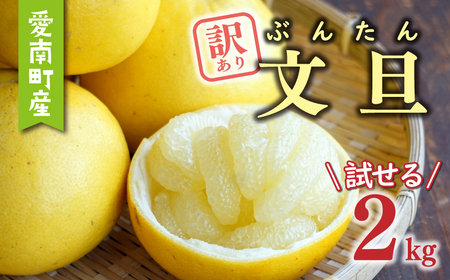 訳あり 文旦 2kg あいなんマザーズ