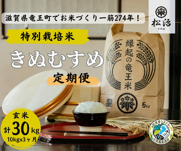 【 新米予約 】 定期便 3ヶ月 きぬむすめ 玄米 10kg 縁起の竜王米 ( 令和6年産 先行予約 新米 きぬむすめ 新米 きぬむすめ 新米 きぬむすめ 新米 きぬむすめ 新米 きぬむすめ 新米 きぬむすめ 新米 きぬむすめ 新米 きぬむすめ 新米 きぬむすめ 新米 きぬむすめ 新米 きぬむすめ 新米 きぬむすめ 新米 きぬむすめ 新米 きぬむすめ 新米 きぬむすめ 新米 きぬむすめ 新米 きぬむすめ 新米 きぬむすめ 新米 きぬむすめ 新米 きぬむすめ 新米 きぬむすめ 新米 きぬむすめ 新米 きぬむす