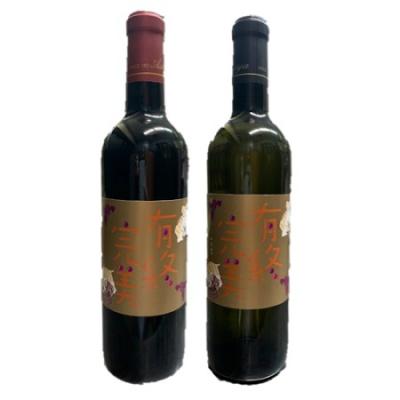 ふるさと納税 八尾市 有終完美ワイン　赤・白2点セット(B175)