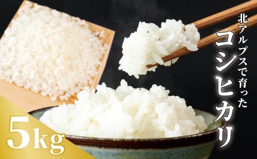 《令和7年産・新米》農家こだわりのコシヒカリ 5kg /長野県白馬村産 2025年産 米 コメ 白米  玄米  精米後発送 2014年特別最高金賞受賞 コンクール受賞 お米 ご飯 ごはん 送料無料【B0080656】