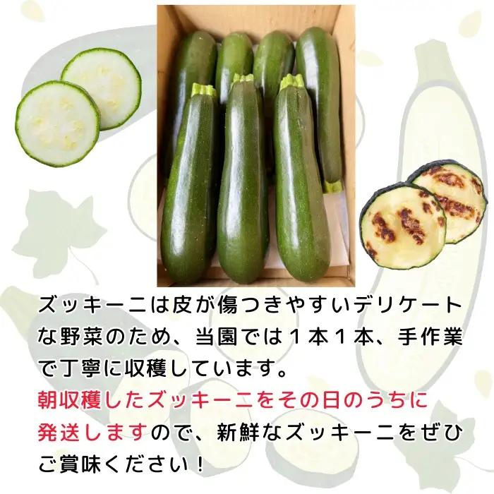 朝採り!! 新鮮ズッキーニ 岸田農園 Cd-001 ズッキーニ