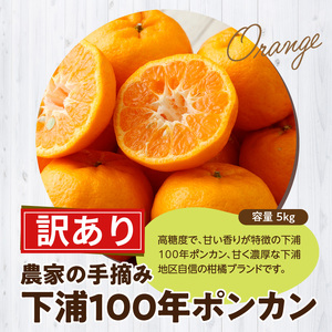 S040-029_【訳あり】農家の手摘み　下浦100年ポンカン　家庭用　5kg