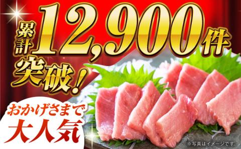 【先行予約】【全3回定期便 (月1回) 】長崎県産 本マグロ 中トロ皮付き 約700g 【大村湾漁業協同組合】 [BAK025] / マグロ まぐろ 中トロ 中とろ 刺身