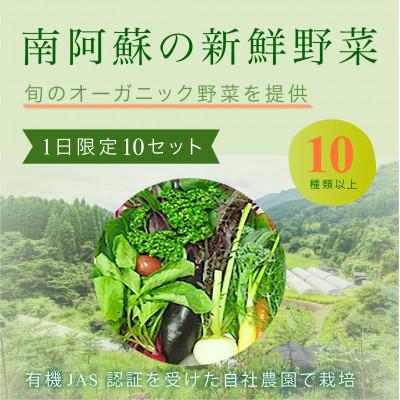 ふるさと納税 南阿蘇村 「南阿蘇オーガニック」旬の野菜セット約10種類詰め合わせ
