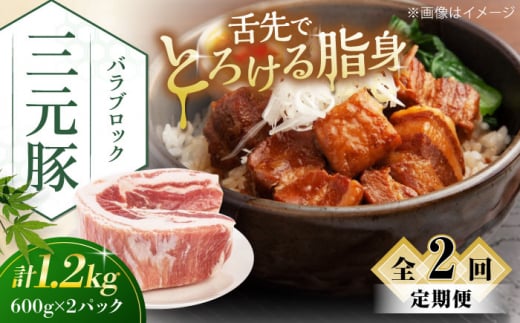 【全2回定期便】三元豚 バラブロック1.2kg（600g×2パック）《喜茂別町》【平田牧場】 肉 豚肉 バラ ブロック 煮豚 酢豚 煮物 冷凍配送 北海道 [AJAP106] 26000 26000円