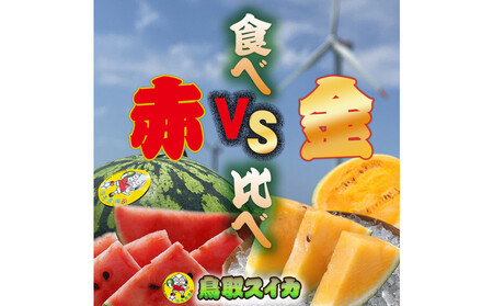 【先行予約】鳥取スイカの食べ比べ！2玉セット（赤肉すいか＆金色羅皇）【西瓜 西瓜 すいか すいか 果物 くだもの フルーツ】