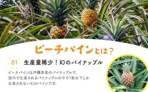 パイン ジュース ITQI2021 三ツ星受賞 24個