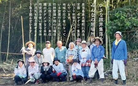 鹿児島県大崎町産味付けメンマ「チクリンからの贈りもの」