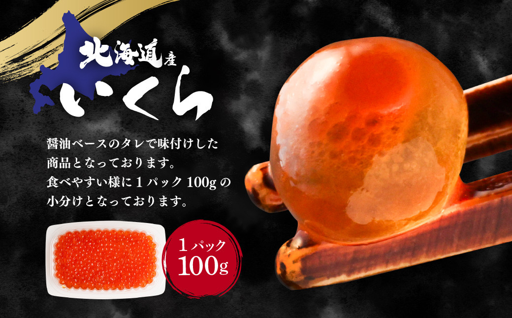 【3ヶ月定期便】いくら醬油漬け (北海道産原料使用) 100g×2パック 合計600g