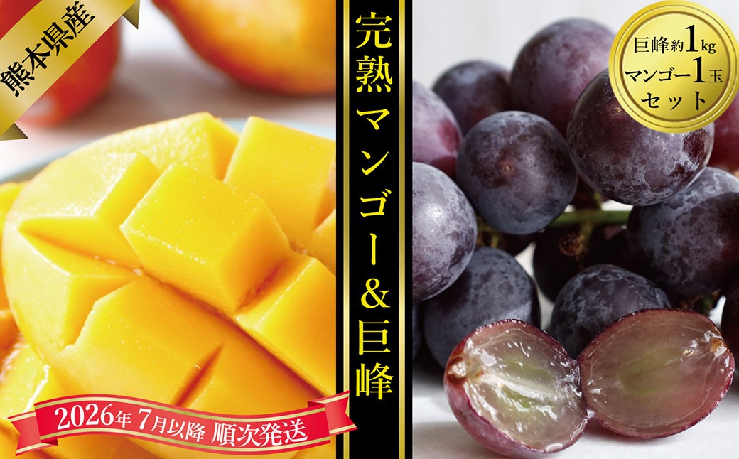 
            熊本県産マンゴー1玉と巨峰約1kgのセット【2026年7月上旬発送開始】 マンゴー 巨峰 ぶどう 葡萄 ブドウ 熊本県産 国産 1玉 1kg セット フルーツ 果物 くだもの 果実 
          