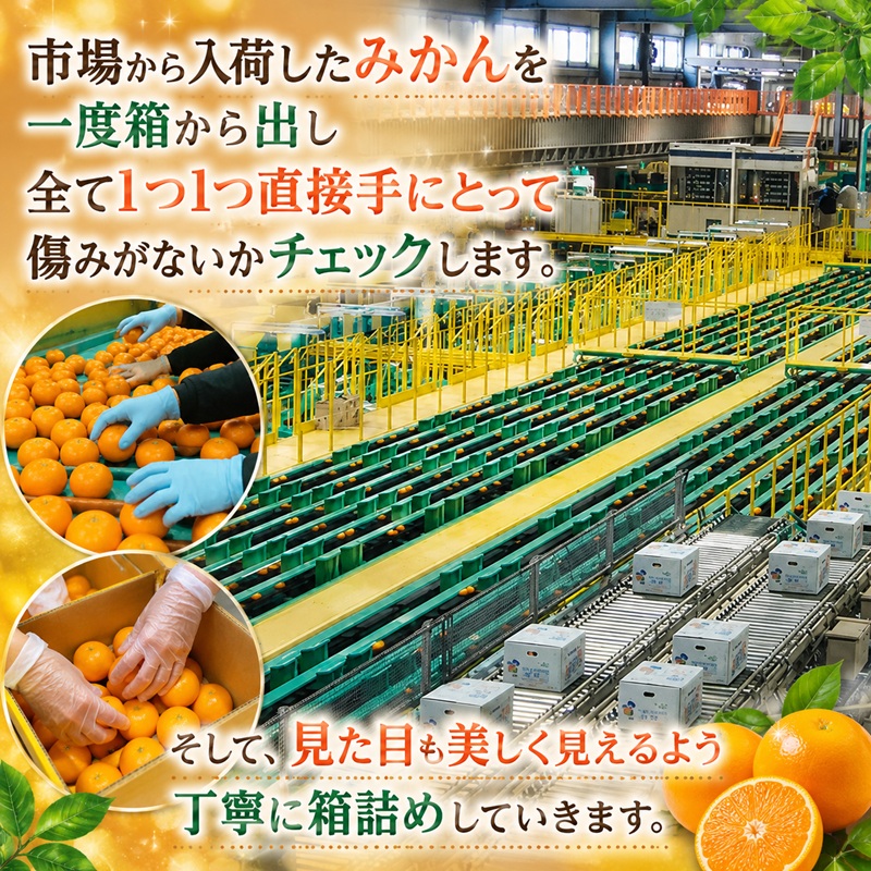 三ケ日みかん 早生【秀品】Sサイズ3kg(36個前後) ミカン 果物 くだもの フルーツ 甘い 静岡県 浜松市 果物類 柑橘類 