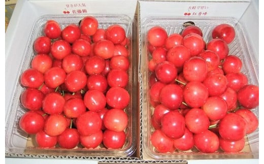 温室さくらんぼ味比べ（佐藤錦と紅秀峰）１ｋｇ　0112-2503