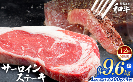 【定期便12回】栃木県産和牛 サーロインステーキ 約200gx4枚 