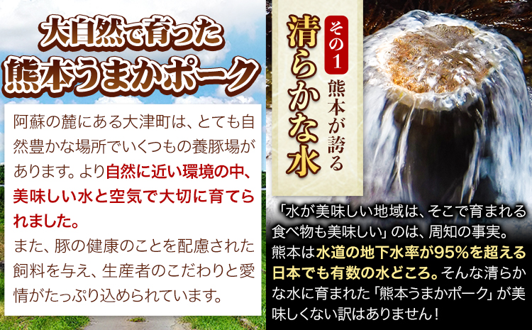 豚 肉 小分け しゃぶ しゃぶ 3種 熊本 うまか ポーク スライス 1.5kg 熊本県産 冷凍 豚 豚肉 個別 個別包装 取分け 豚しゃぶ ぶたしゃぶ ロース バラ 肩ロース 鍋 トレー《30日以内