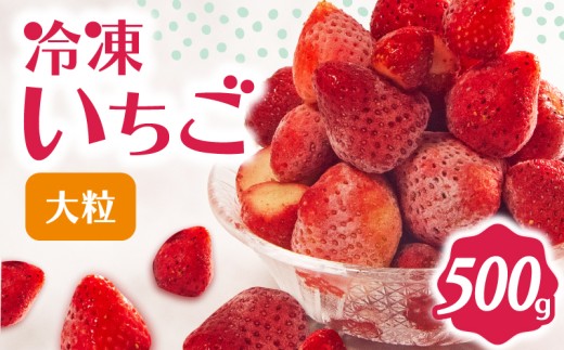 冷凍 いちご 500g 完熟 ヘタ取り 大粒 イチゴ 苺 冷凍いちご 果物 スイーツ デザート フルーツ アイス ジャム シャーベット ベリー 氷菓  甘い オススメ 人気 滋賀県 竜王町 ひさだ苺農園