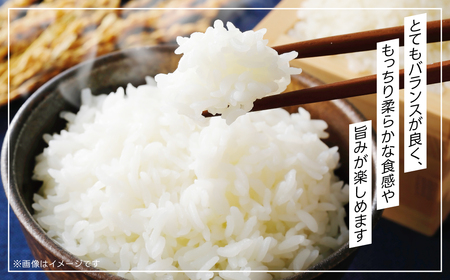令和6年産 富里市産コシヒカリ ５㎏ TMF004 / こしひかり コシヒカリ 米 こめ コメ 白米 単一米 精米 うるち精米 5kg もっちり 柔らか うまみ 旨味 うま味 日本食 鮮度自慢 産直 