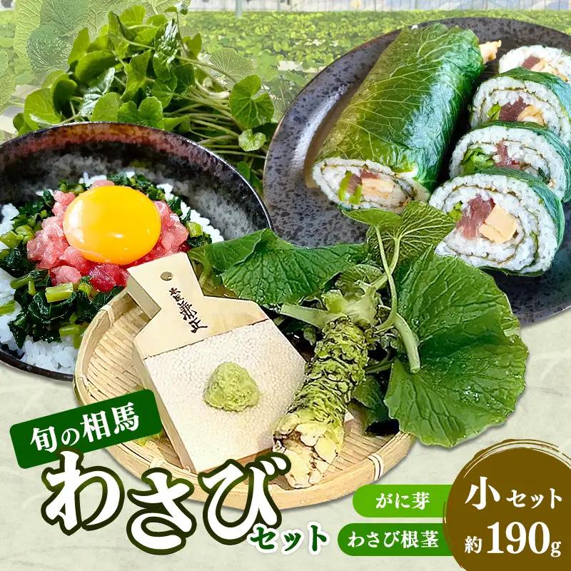 旬の相馬 相馬わさび 小セット約190g  薬味 野菜 食品 FAI-0041
