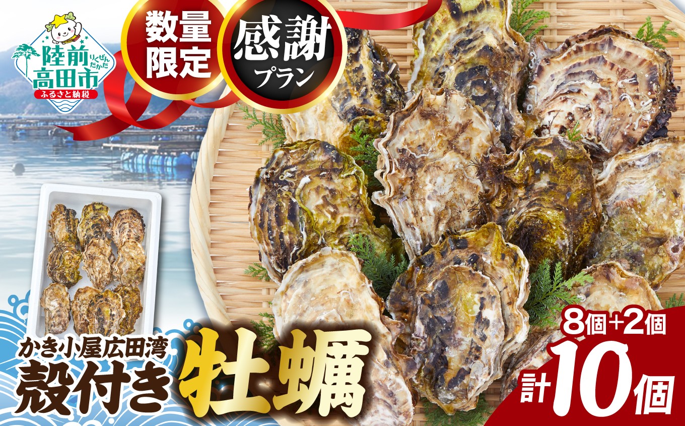 
                  【数量限定/感謝プラン】 かき小屋広田湾の殻付き牡蠣8個+2個 計10個 発送時期が選べる 【 生食用 生食可 牡蠣 かき 殻付き 海鮮 魚介 魚介類 BBQ バーベキュー 国産 三陸産 】 RT3260
                