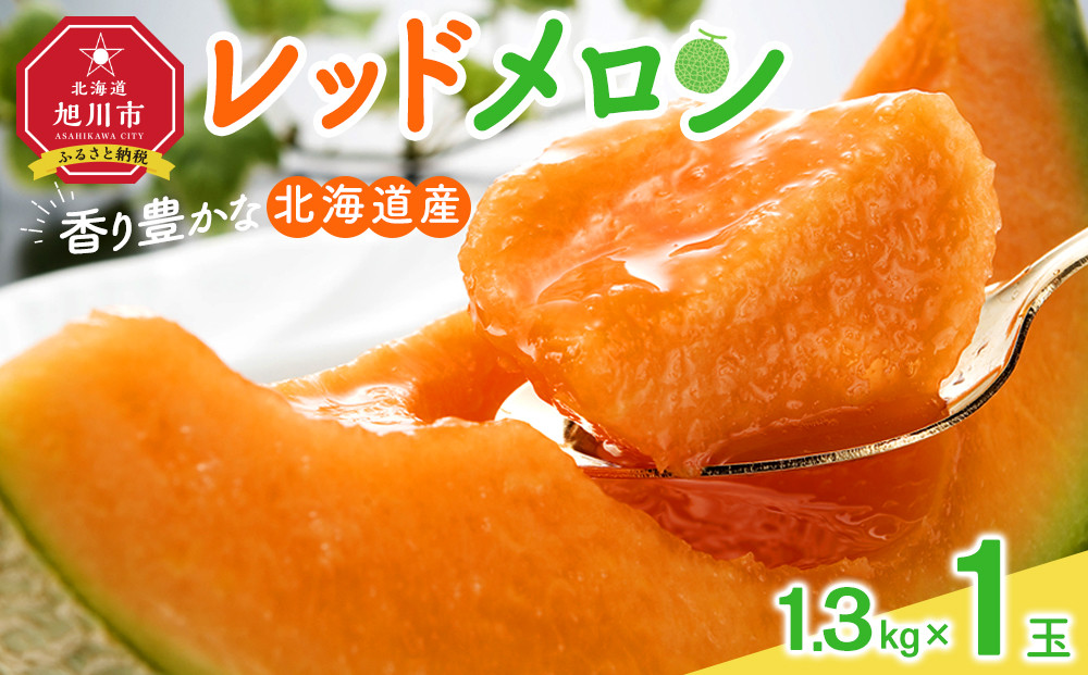 【26年発送先行予約】香り豊かな 北海道レッドメロン 1.3kg×1玉(2026年7月下旬から発送開始予定) 【 果物 くだもの フルーツ メロン 赤肉 赤肉メロン 旬 お取り寄せ 甘い 北海道産 旭