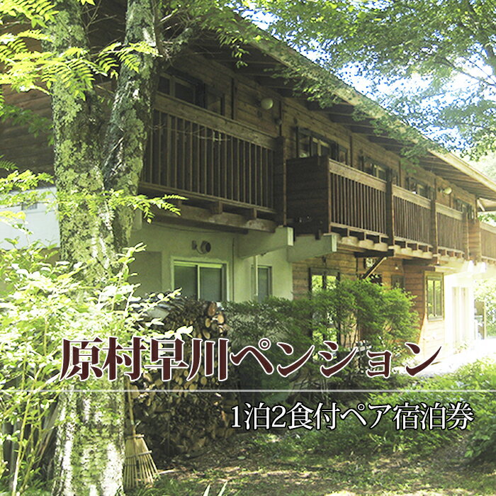 【ふるさと納税】早川ペンション　ご宿泊券【1泊2食2名様】　旅行・宿泊券
