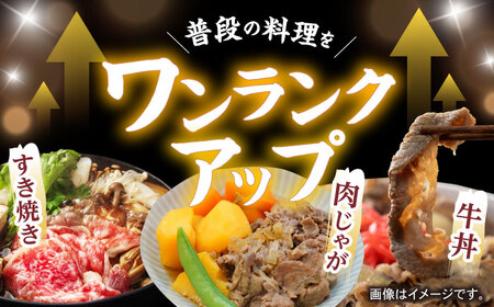 【訳あり】切り落とし 赤身 モモ バラ 1.2kg  (600g×2P) / 長崎和牛 A4～A5ランク ワケあり 小間切れ / 諫早市 / 野中精肉店[AHCW015]