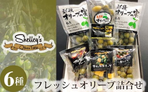 フレッシュオリーブ詰合せ ／ オリーブの実 ミックスオリーブ イタリア産オリーブ 神奈川県 No.483