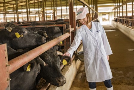 数々の誉れに輝く最高峰 黒毛和牛「平井牛」A5 焼肉用 霜降り 250g 京都 丹波牧場 自家産≪三角バラ・トモバラ・カルビ・カイノミ・ミスジ 希少 和牛 京都肉 冷凍 真空 BBQ キャンプ≫