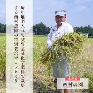 コシヒカリ  精米 令和7年産 福島県産コシヒカリ 10kg [ 西村農園 福島県大玉村 ] | nm-kh10-R7 コシヒカリ こしひかり