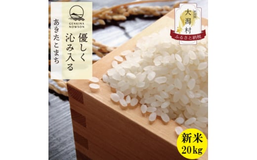 ＜令和6年産＞秋田県産 あきたこまち 白米 20kg(5kg×4袋)【1519353】