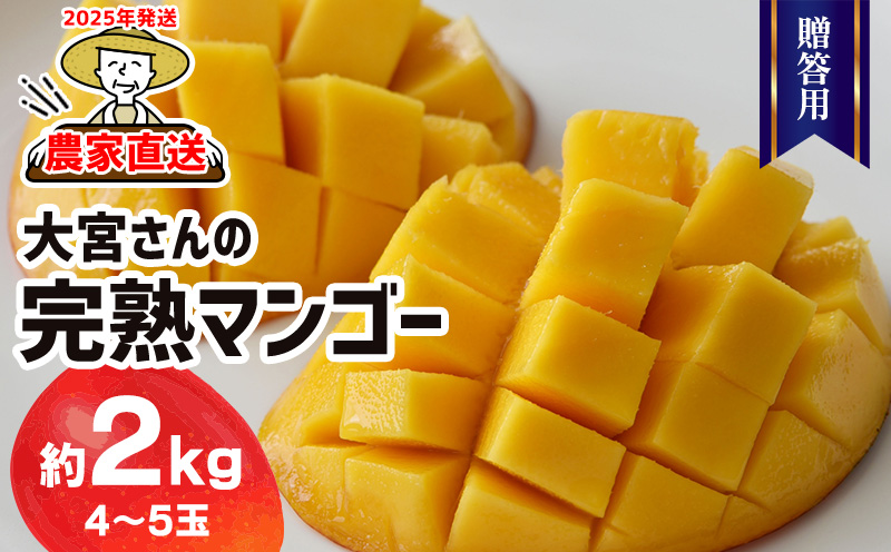 【2025年発送】農家直送！大宮さんの完熟マンゴー 贈答用 約2kg フルーツ 果物 デザート 果実 完熟 甘い 濃厚 スムージー アイス プリン ヨーグルト ケーキ 贈り物 ギフト お中元 アップルマンゴー アーウィン 久米島 沖縄 南国