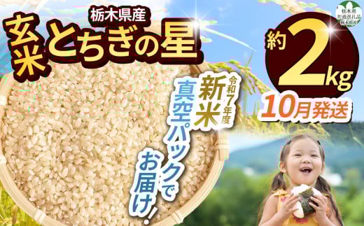 【先行予約】【令和7年度新米】【毎月500個限定！】【栃木県共通返礼品】 栃木県産とちぎの星 2kg（玄米真空パック）10月分 | 新米 とちぎの星 玄米 米 ごはん  冷めてもおいしい ふるさと納税 那珂川町 栃木県