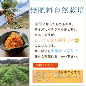甘い葉付き人参 8kg かたもとオーガニックファーム 人参