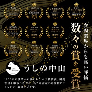 c0-070 ＜A4・A5等級＞鹿児島県産黒毛和牛100%使用極上ハンバーグ計4.5kg(150g×30個)