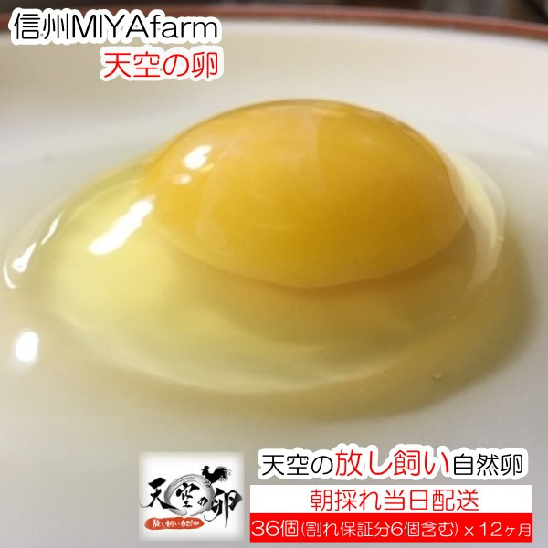 
            382＊信州MIYAFARM　「天空の卵」有機野菜を食べて育った放し飼い自然卵　6ヶ月定期便
          