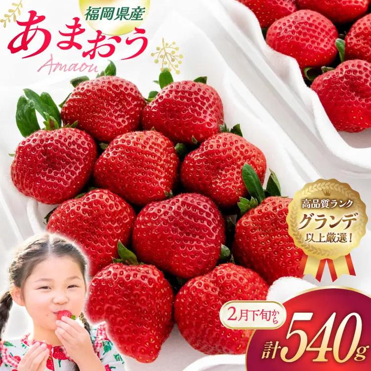 いちご あまおう 270g 2p 計540g【2月後半-3月後半発送】 2027年発送 先行予約