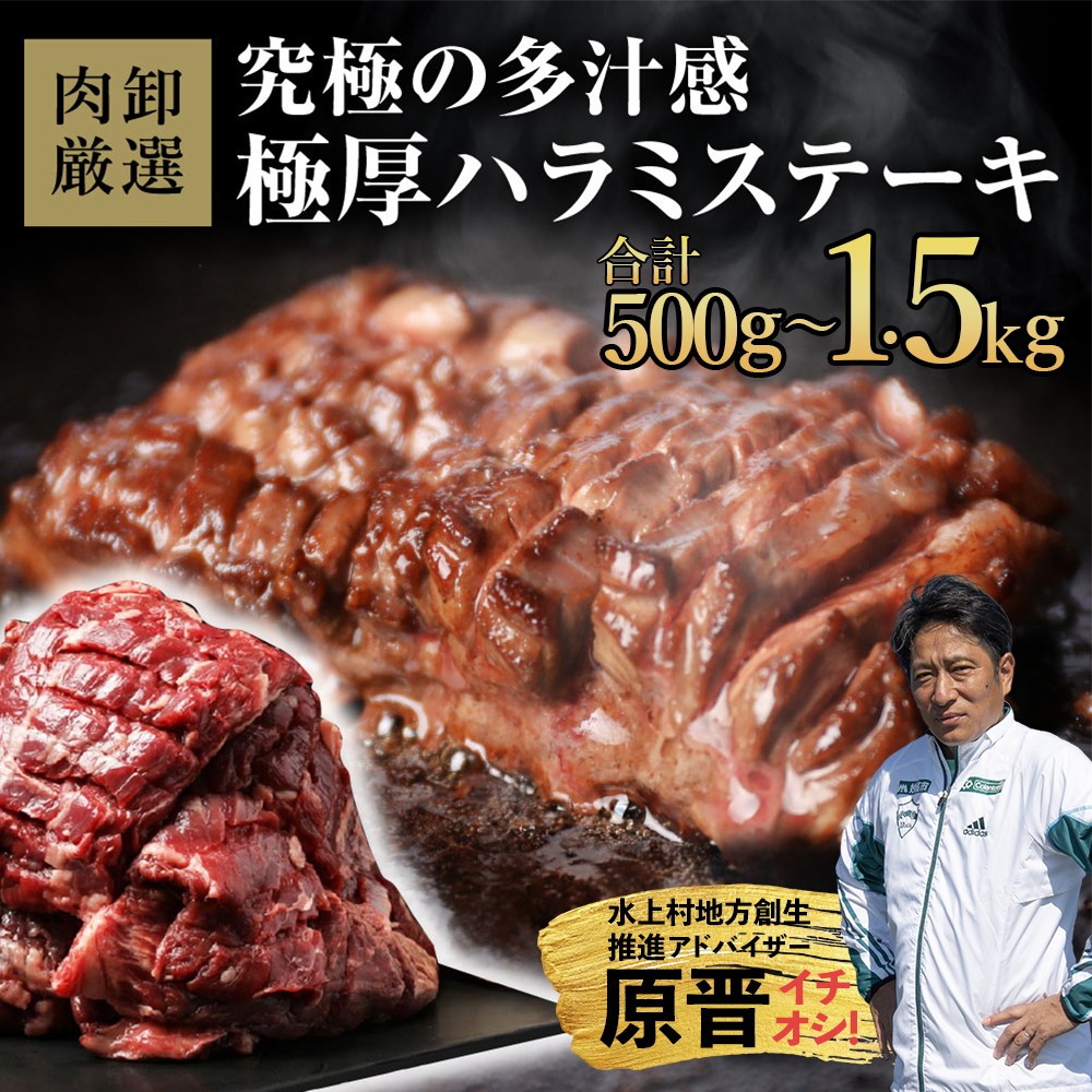 
                  厚切りハラミステーキ 500g
                