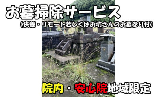 
お墓掃除サービス(供養・リモート若しくはお坊さんのお墓参り付 宇佐市院内・安心院内限定)掃除 供養 清掃 代行 お墓 地域限定【107200400】【NPO法人　スポーツクラブグレートサラマンダー】
