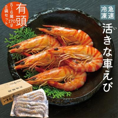 ふるさと納税 上島町 急速冷凍活きな車えび【有頭5〜6尾(約170g)×2袋セット】