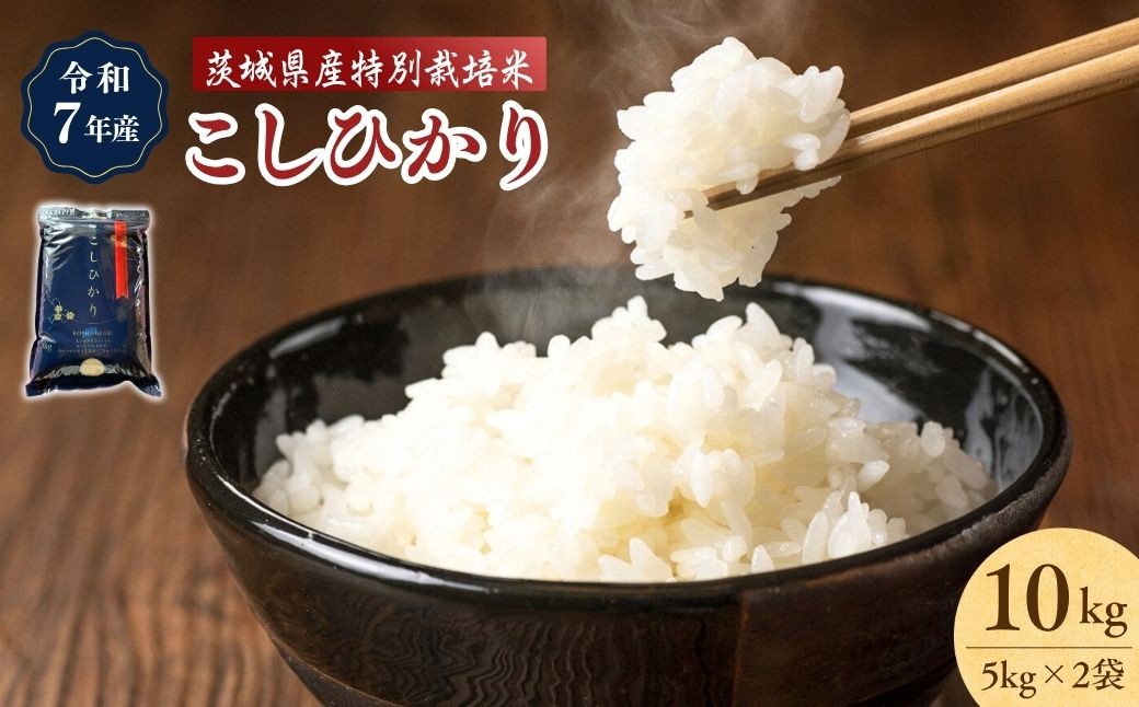 
            ＜令和7年産＞ こしひかり 特別栽培米 精米 10kg | 米 お米 白米 ごはん ご飯 コシヒカリ 稲作一筋 農薬を抑えた 特別栽培  特別栽培認証 厳選米 人気 茨城県産 龍ケ崎市産 農家直送 産地直送 精米 国産 ブランド米 おすすめ 甘みが強い ふっくら 艶やか 茨城県 龍ケ崎市
          