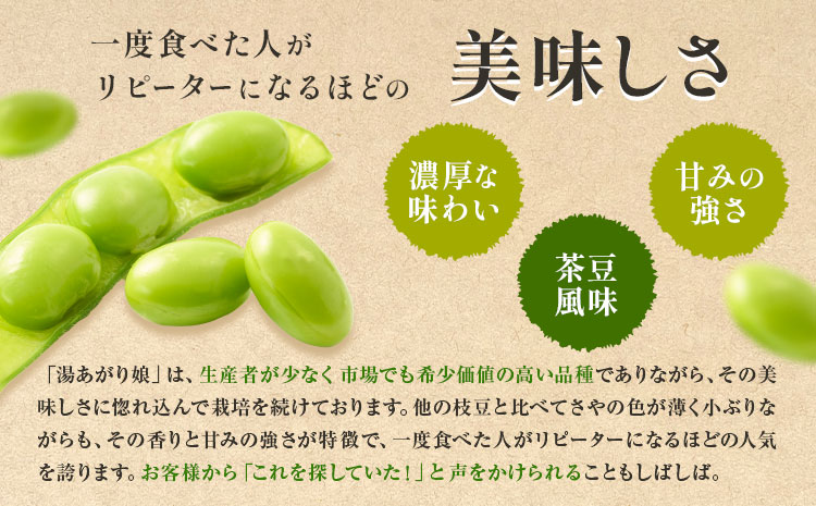 先行予約 茨城県結城市産枝豆「湯あがり娘」4.5kg（茶豆味）有限会社大嶋農園 《7月中旬-8月上旬頃出荷》 野菜 国産 甘み 香り 濃厚 つまみ ビールのおつまみ ビールのつまみ【配送不可地域あり】